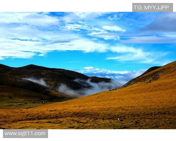 韦筱圆的成长之路与人生哲学探索：从平凡到卓越的心灵旅程