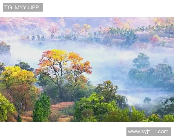 叶重秋的诗意人生与自然的深情交融探寻